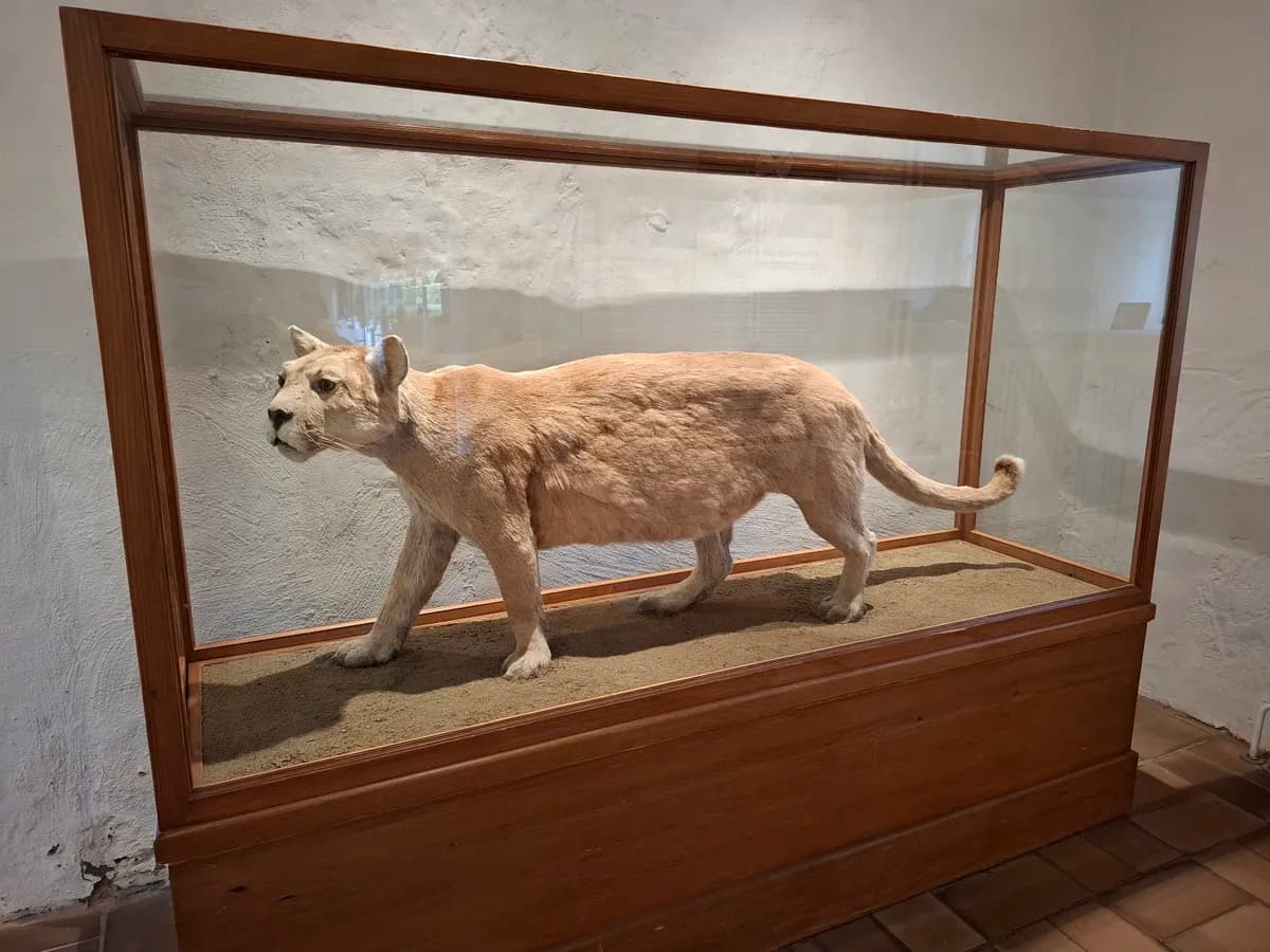 Museum