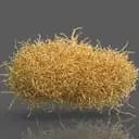 tumbleweed